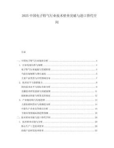 2025中國(guó)電子特氣行業(yè)技術(shù)壁壘突破與進(jìn)口替代空間