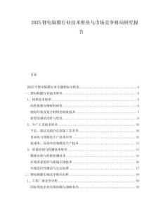 2025鋰電隔膜行業(yè)技術(shù)壁壘與市場(chǎng)競(jìng)爭(zhēng)格局研究報(bào)告