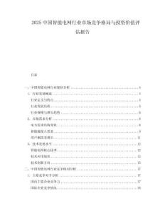 2025中國智能電網(wǎng)行業(yè)市場競爭格局與投資價值評估報告