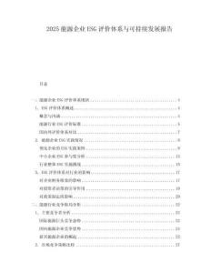 2025能源企业ESG评价体系与可持续发展报告
