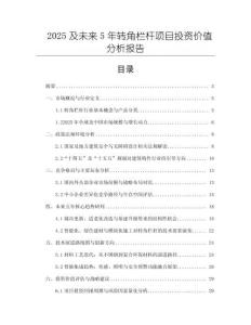 2025及未來5年轉(zhuǎn)角欄桿項目投資價值分析報告