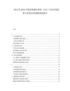 2025至2030中國態勢感知系統（SAS）行業未來趨勢與前景運營戰略規劃報告