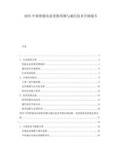 2025中國(guó)智能電表更換周期與通信技術(shù)升級(jí)報(bào)告