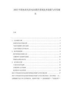 2025中國水面光伏電站漂浮系統(tǒng)技術(shù)創(chuàng)新與應(yīng)用報(bào)告