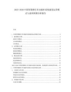 2025-2030中國智慧路燈多功能桿系統(tǒng)建設(shè)運營模式與盈利周期分析報告