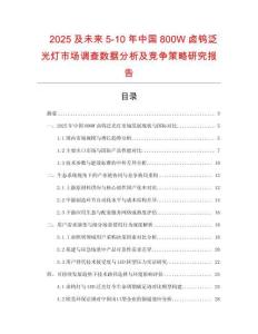 2025及未來5-10年中國800W鹵鎢泛光燈市場調(diào)查數(shù)據(jù)分析及競爭策略研究報(bào)告