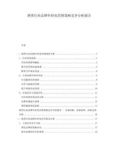 酒類行業(yè)品牌年輕化營(yíng)銷策略競(jìng)爭(zhēng)分析報(bào)告