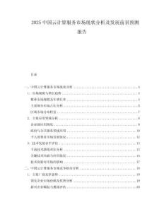 2025中國(guó)云計(jì)算服務(wù)市場(chǎng)現(xiàn)狀分析及發(fā)展前景預(yù)測(cè)報(bào)告
