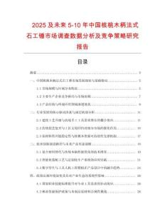 2025及未來5-10年中國核桃木柄法式石工錘市場調(diào)查數(shù)據(jù)分析及競爭策略研究報告