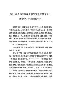 2025年度局巡察反饋意見(jiàn)整改專(zhuān)題民主生活會(huì)個(gè)人對(duì)照檢查材料