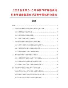 2025及未來(lái)5-10年中國(guó)氣鏟除銹兩用機(jī)市場(chǎng)調(diào)查數(shù)據(jù)分析及競(jìng)爭(zhēng)策略研究報(bào)告