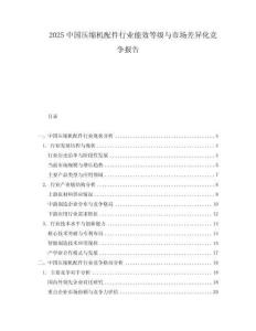 2025中國壓縮機配件行業能效等級與市場差異化競爭報告