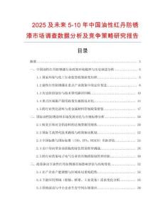 2025及未來5-10年中國油性紅丹防銹漆市場調查數據分析及競爭策略研究報告