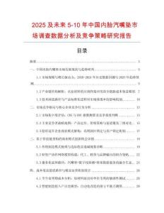 2025及未來5-10年中國內胎汽嘴墊市場調查數據分析及競爭策略研究報告