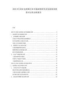 2025至2030電煎鍋行業(yè)市場深度研究及發(fā)展前景投資可行性分析報告