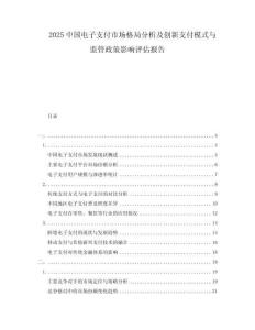 2025中國電子支付市場格局分析及創新支付模式與監管政策影響評估報告
