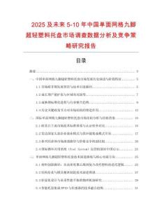 2025及未來5-10年中國單面網(wǎng)格九腳超輕塑料托盤市場調查數(shù)據(jù)分析及競爭策略研究報告