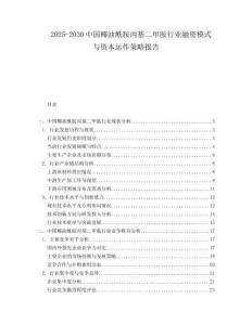 2025-2030中国椰油酰胺丙基二甲胺行业融资模式与资本运作策略报告