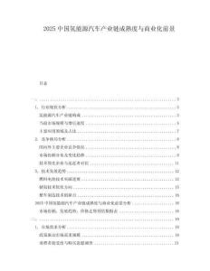 2025中國氫能源汽車產(chǎn)業(yè)鏈成熟度與商業(yè)化前景