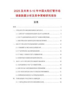 2025及未來5-10年中國太陽燈管市場調查數據分析及競爭策略研究報告