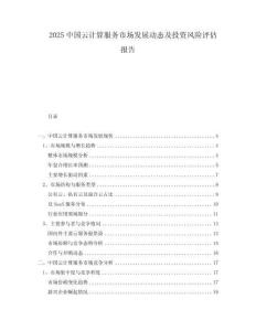 2025中國云計算服務(wù)市場發(fā)展動態(tài)及投資風(fēng)險評估報告