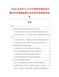 2025及未來5-10年中國砂帶鋼絲輪打磨機(jī)市場調(diào)查數(shù)據(jù)分析及競爭策略研究報告