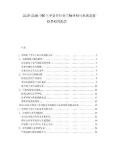 2025-2030中國電子支付行業市場格局與未來發展趨勢研究報告