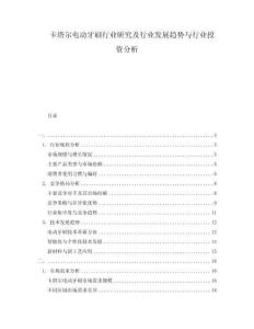 卡塔尔电动牙刷行业研究及行业发展趋势与行业投资分析