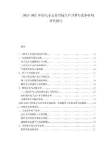 2025-2030中國電子支付市場用戶習慣與競爭格局研究報告