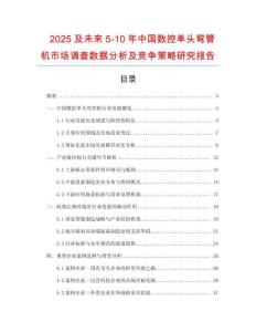 2025及未來5-10年中國數(shù)控單頭彎管機(jī)市場調(diào)查數(shù)據(jù)分析及競爭策略研究報告