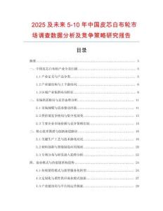 2025及未來5-10年中國皮芯白布輪市場(chǎng)調(diào)查數(shù)據(jù)分析及競(jìng)爭(zhēng)策略研究報(bào)告