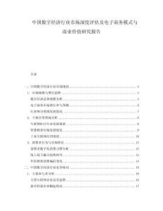 中國數字經濟行業市場深度評估及電子商務模式與商業價值研究報告