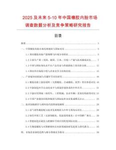 2025及未來5-10年中國橡膠內胎市場調查數據分析及競爭策略研究報告
