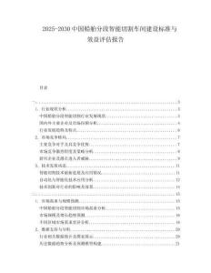 2025-2030中國船舶分段智能切割車間建設標準與效益評估報告