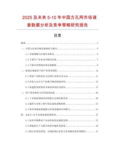 2025及未來5-10年中國方孔網(wǎng)市場調(diào)查數(shù)據(jù)分析及競爭策略研究報告