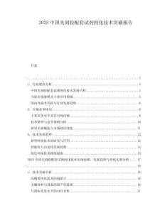 2025中國光刻膠配套試劑純化技術(shù)突破報告