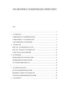2025磁存儲器芯片抗輻射性能及航天領域應用報告