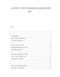 2025特種工藝芯片應用場景拓展與定制化需求分析報告