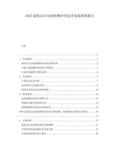 2025退役動(dòng)力電池檢測(cè)評(píng)估技術(shù)發(fā)展現(xiàn)狀報(bào)告