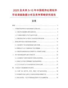2025及未來5-10年中國程序處理軟件市場調查數據分析及競爭策略研究報告