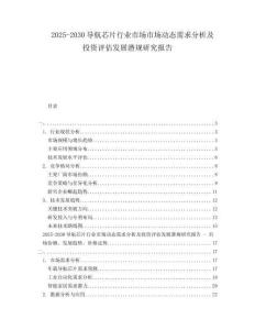 2025-2030導(dǎo)航芯片行業(yè)市場(chǎng)市場(chǎng)動(dòng)態(tài)需求分析及投資評(píng)估發(fā)展?jié)撘?guī)研究報(bào)告