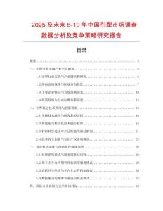 2025及未來5-10年中國引犁市場調(diào)查數(shù)據(jù)分析及競爭策略研究報告