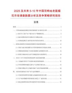 2025及未來5-10年中國雙響地老鼠煙花市場調(diào)查數(shù)據(jù)分析及競爭策略研究報告