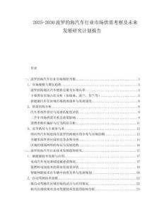2025-2030波羅的海汽車行業市場供需考察及未來發展研究計劃報告