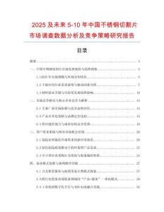 2025及未來5-10年中國不銹鋼切割片市場調查數據分析及競爭策略研究報告
