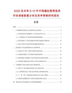 2025及未來5-10年中國撞批套筒旋具市場調(diào)查數(shù)據(jù)分析及競爭策略研究報(bào)告