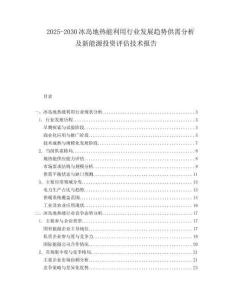 2025-2030冰島地?zé)崮芾眯袠I(yè)發(fā)展趨勢供需分析及新能源投資評估技術(shù)報告