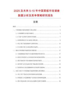 2025及未来5-10年中国菜板市场调查数据分析及竞争策略研究报告