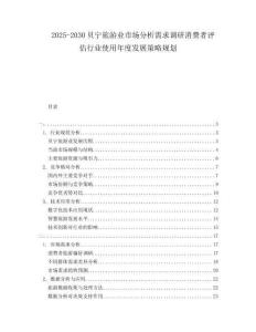 2025-2030貝寧旅游業市場分析需求調研消費者評估行業使用年度發展策略規劃