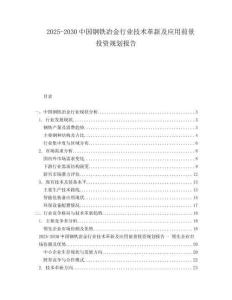 2025-2030中國鋼鐵冶金行業技術革新及應用前景投資規劃報告